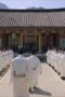 Nonton Film Captivating the King Season 1 Episode 4 Terbaru Nonton Film Captivating the King Season 1 Episode 4 Terbaru